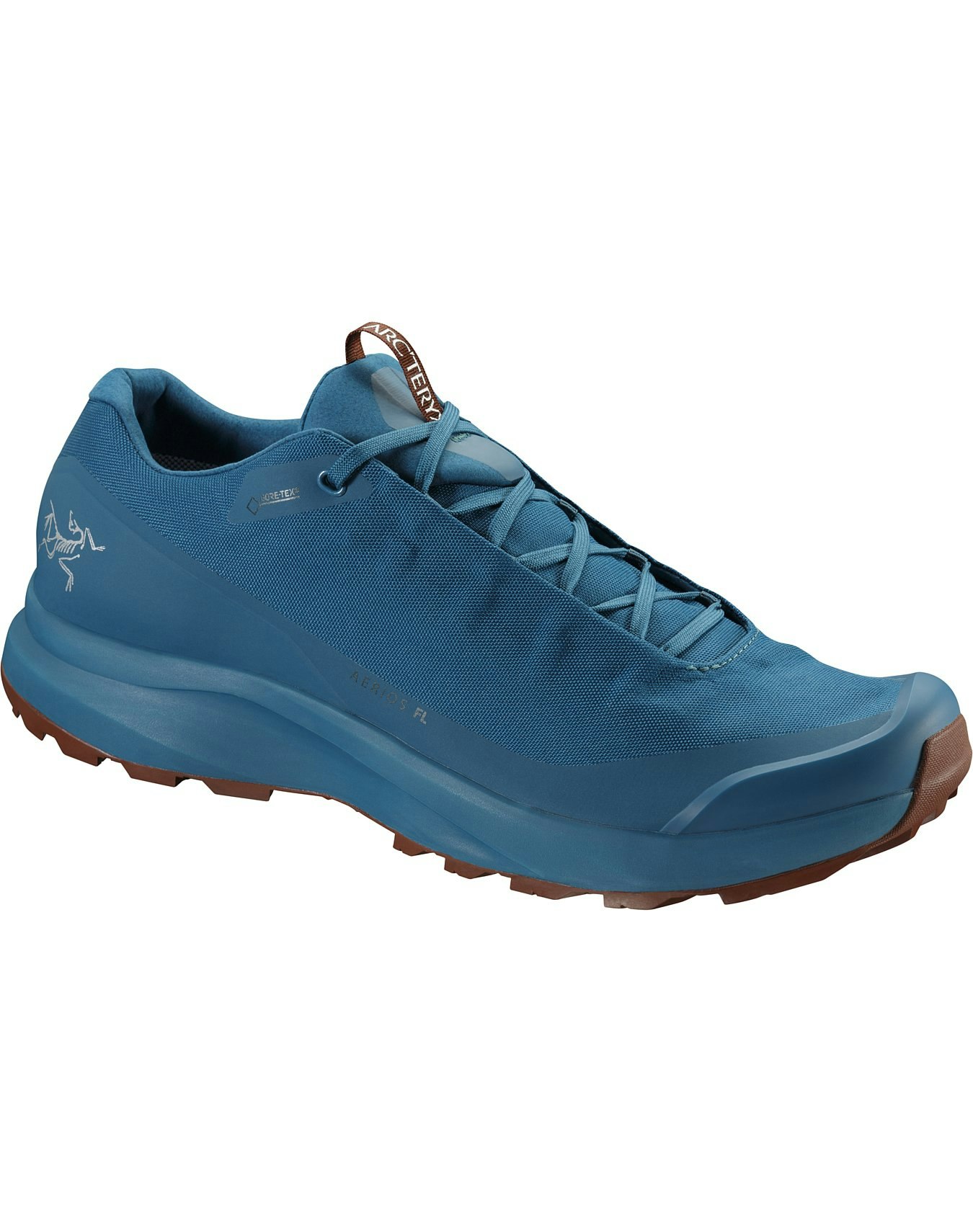 Aerios FL GTX Shoe / Mens | Arc'teryx