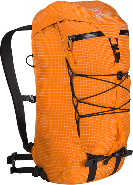 Alpha AR 20 Backpack Beacon
