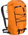 Alpha AR 20 Backpack Beacon