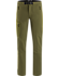 Gamma AR Pant Men's Bushwhack