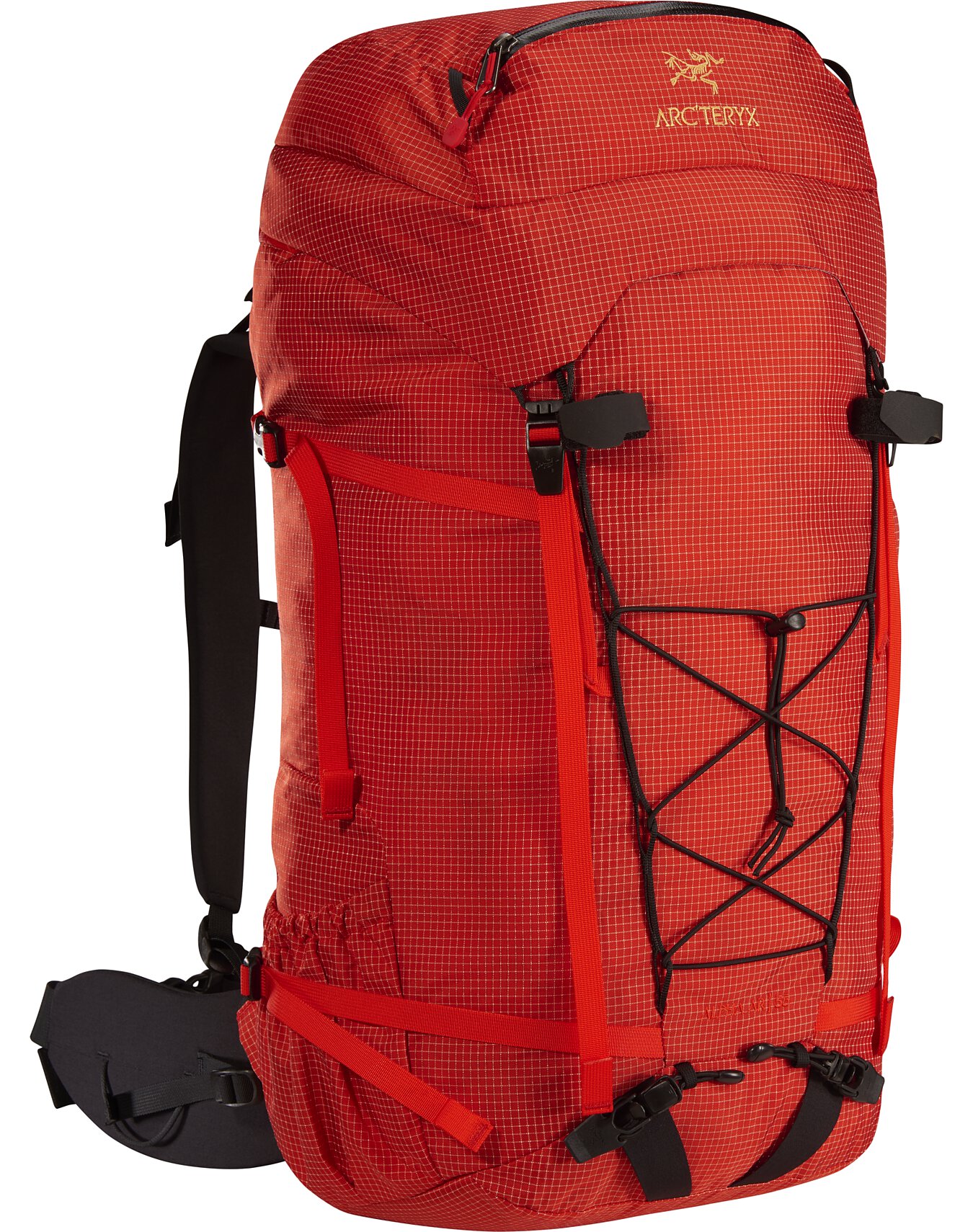 alpine bear backpack