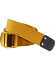 Conveyor Belt Nucleus