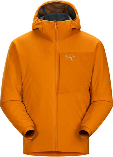 arcteryx proton lt hoody