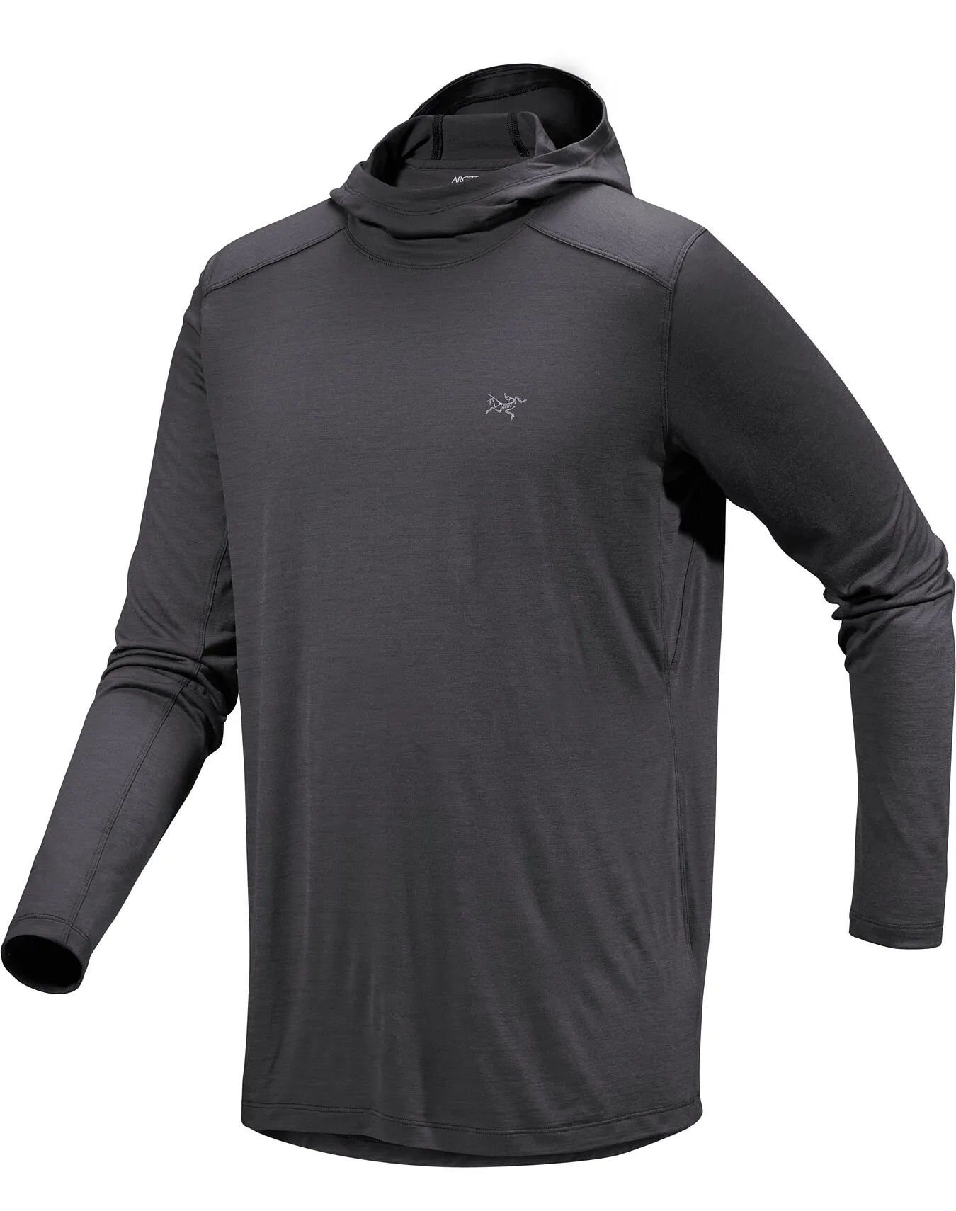 RWS Certified Wool Hoody Arc'teryx Ionia Men's - Soft, Light