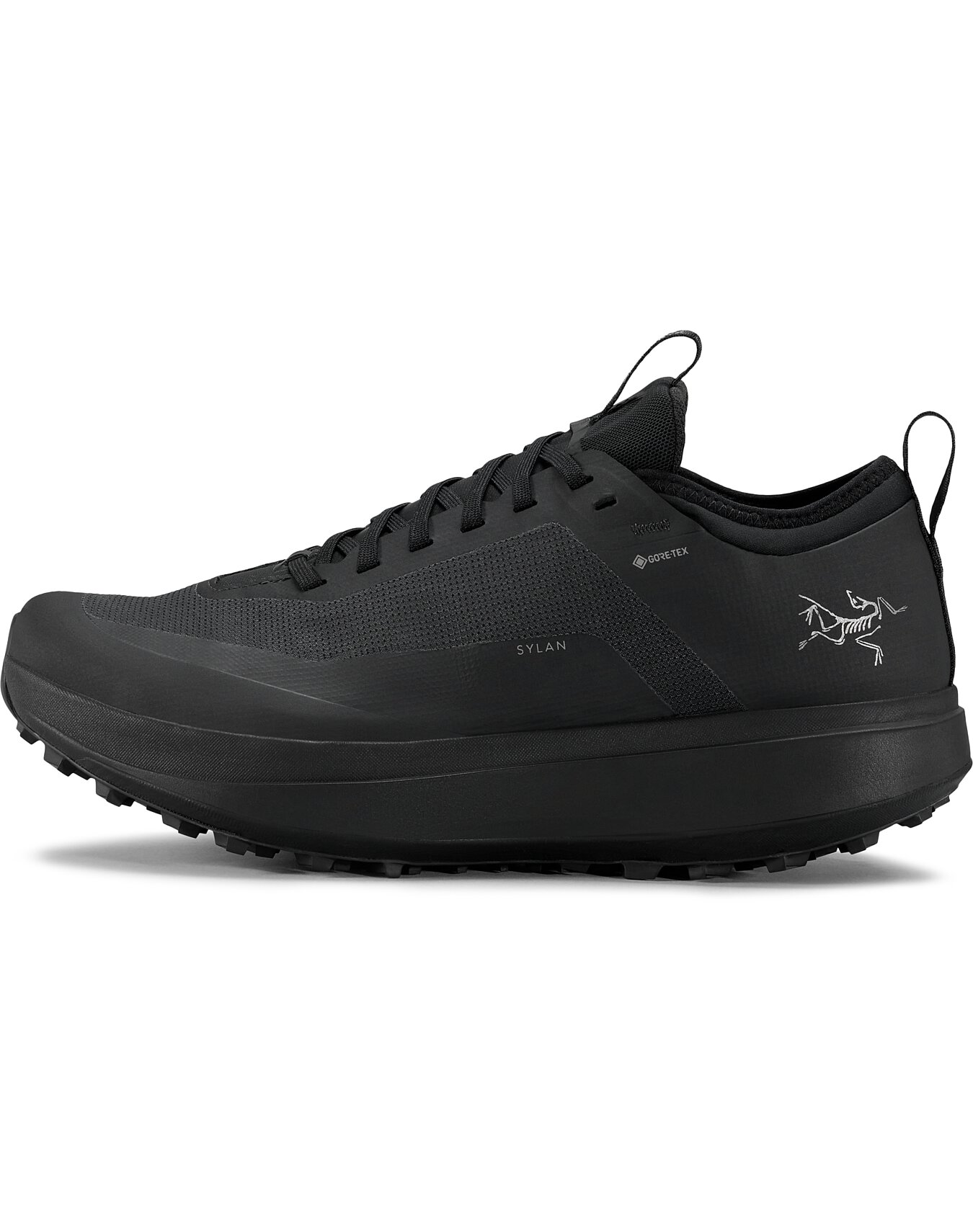 Sylan GTX Shoe Men's