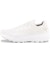 Arctic Silk/White