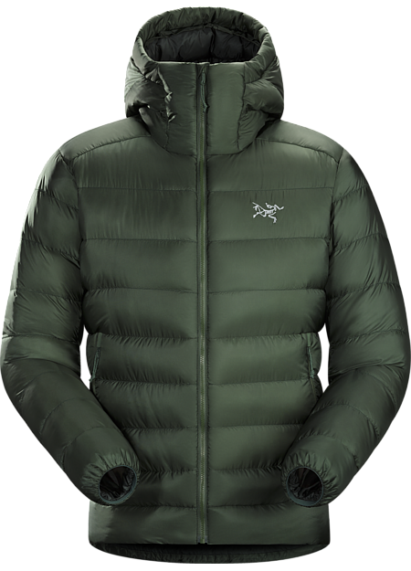 Cerium SV Hoody Men's Cypress