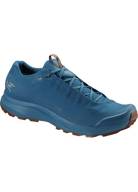 Aerios Fl Gtx Shoe Mens Arc Teryx