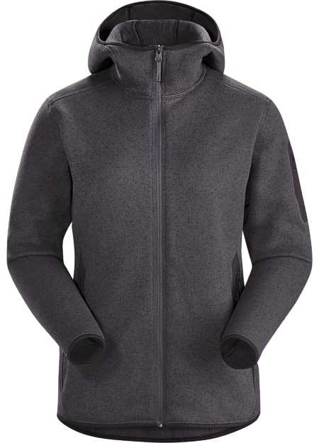 arcteryx fleece hoodie