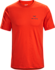 Emblem T-Shirt Men's Dynasty