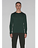 Frame Shirt LS Men's Alga