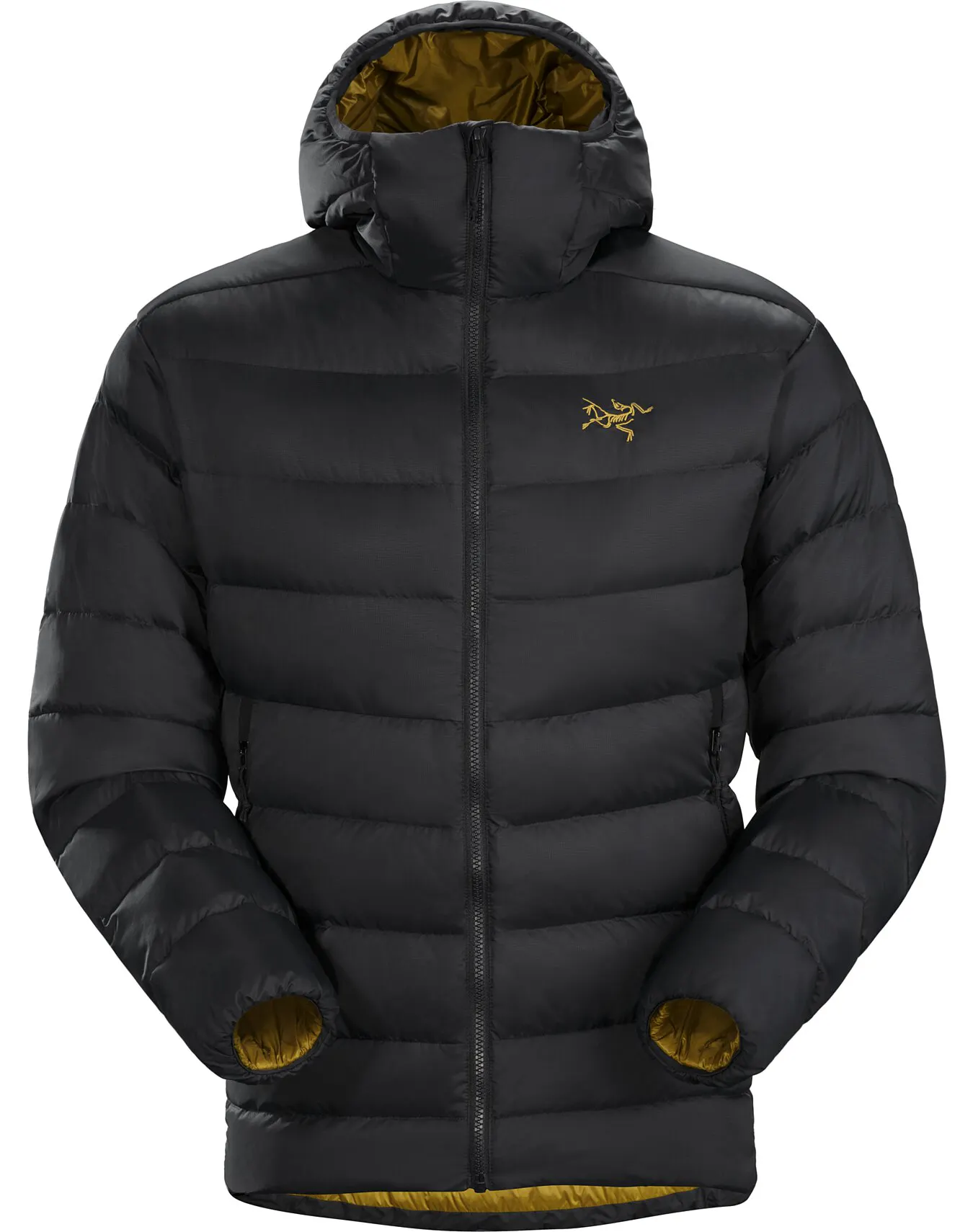 arcteryx thorium ar 24k