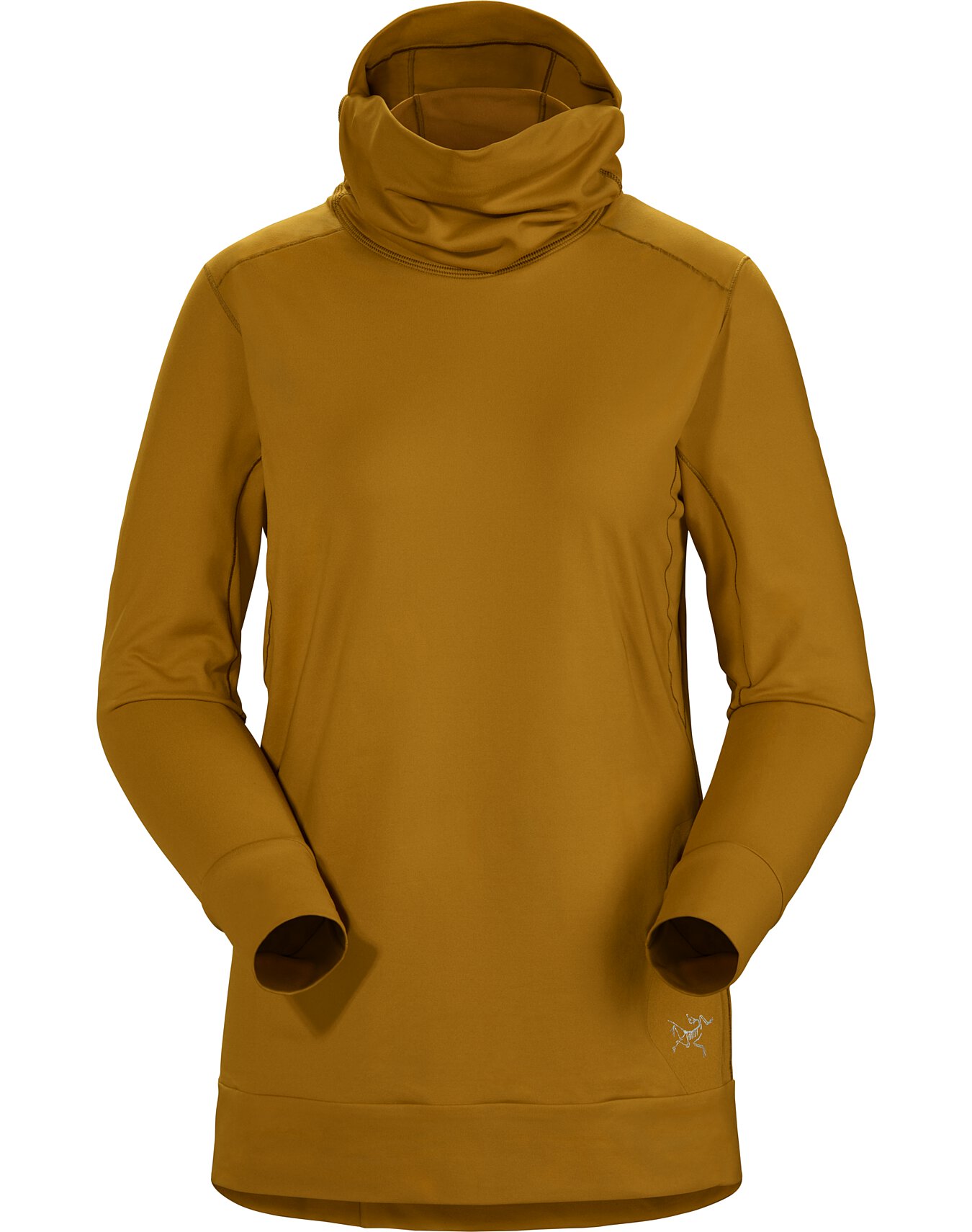 Худи arcteryx. Arcteryx Womens Hoody. Arcteryx Hoody женская. Куртка Arcteryx Covert. Куртка Arcteryx Incendo Hoody.