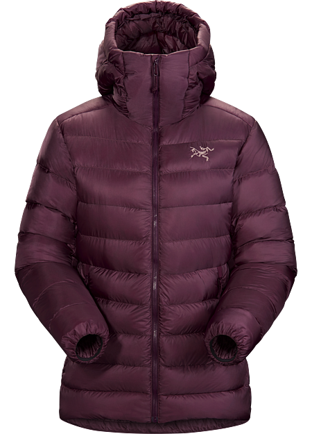 arcteryx mens cerium sv hoody