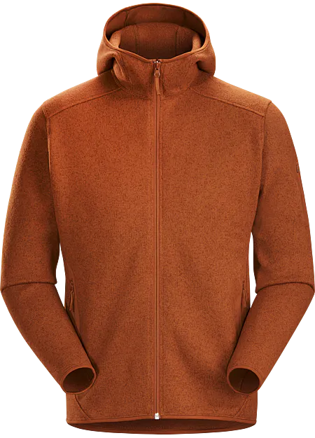 arcteryx pullover hoodie