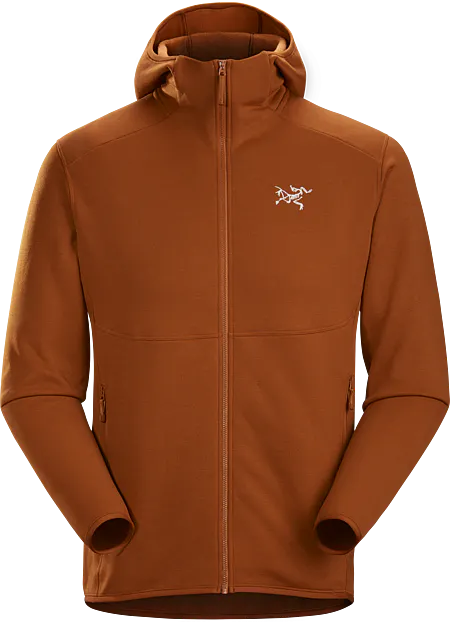 arcteryx pullover hoodie