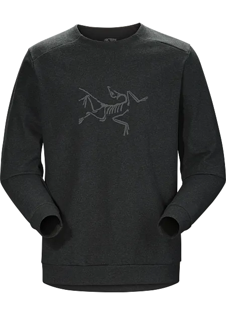 arcteryx pullover hoodie
