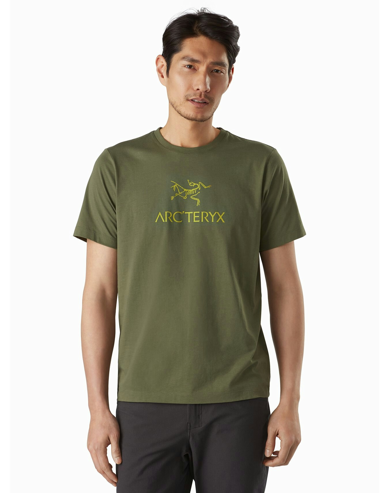 arc-word-t-shirt-mens-arc-teryx