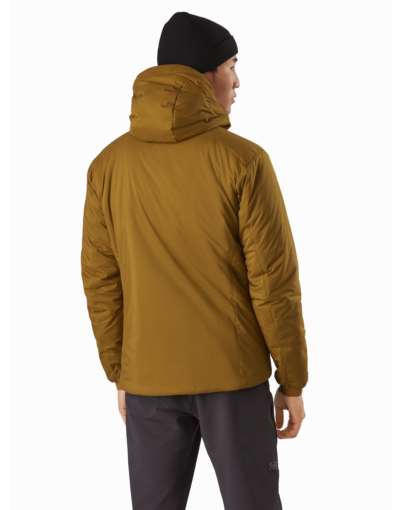 arcteryx atom hoody herre