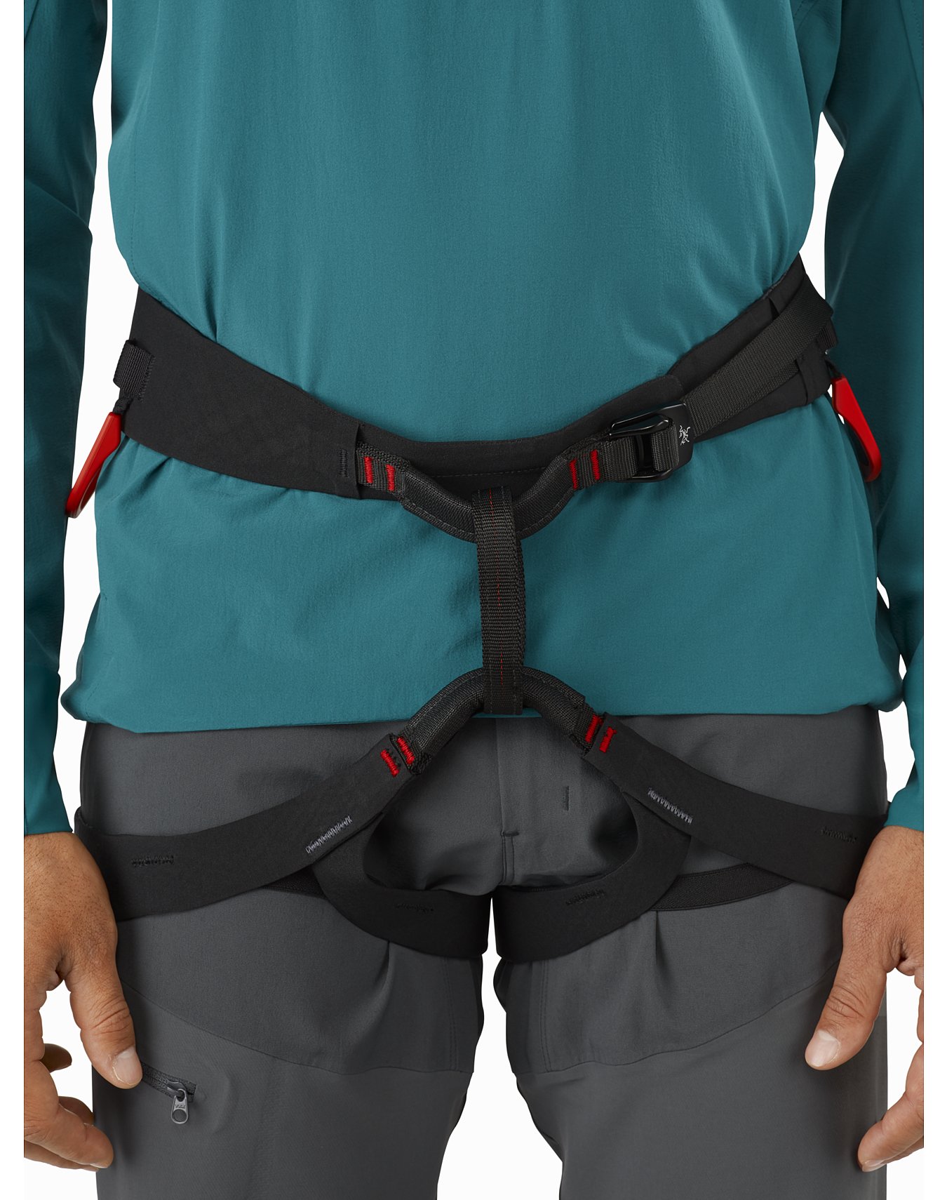 Cquence Harness Men's Arc'teryx