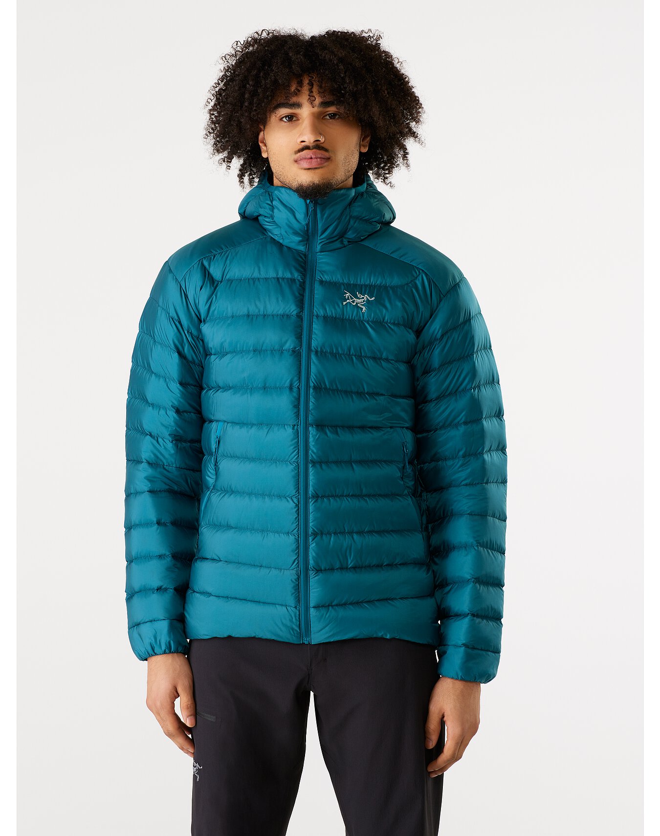 セリウム LT フーディ メンズ | Arc'teryx Outlet