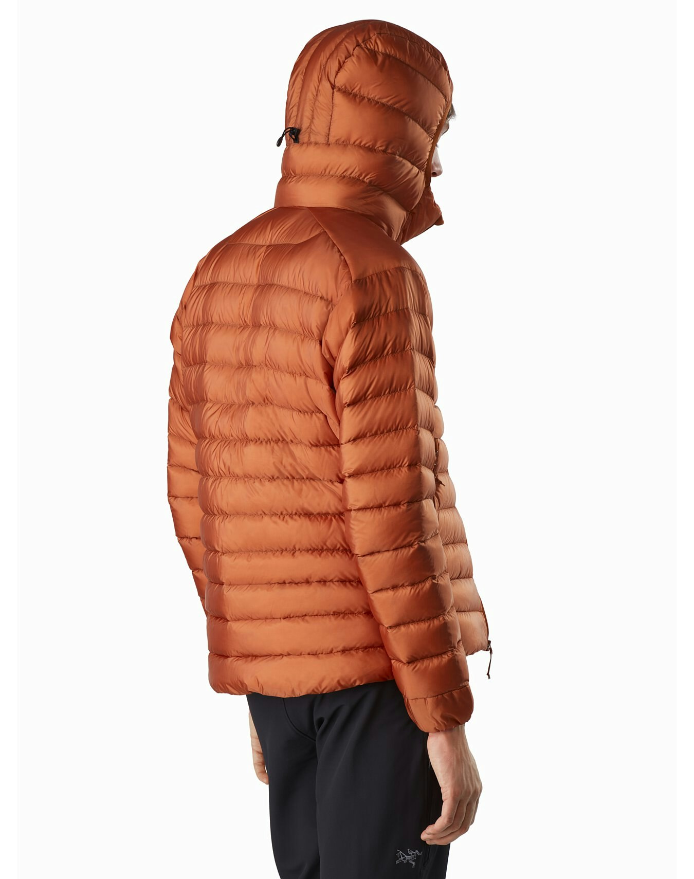 komorebi arcteryx