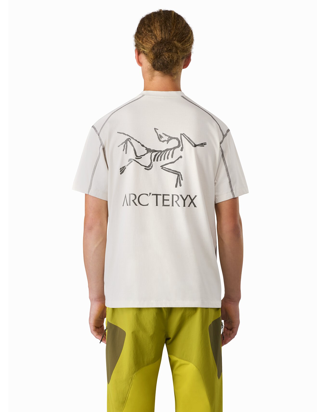 ARC´TERYX - ARC´TERYX SYSTEM_A Copal Bird Tee 黒 Mの+spbgp44.ru