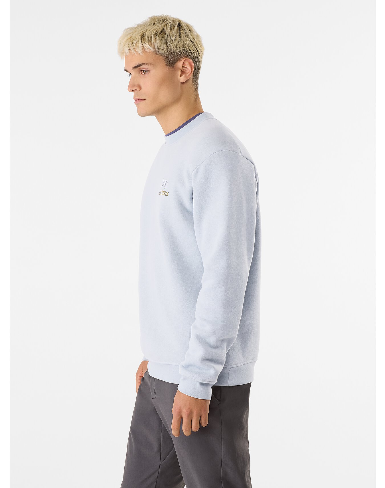 Emblem Fleece Crew Neck Pullover Men's Arc'teryx