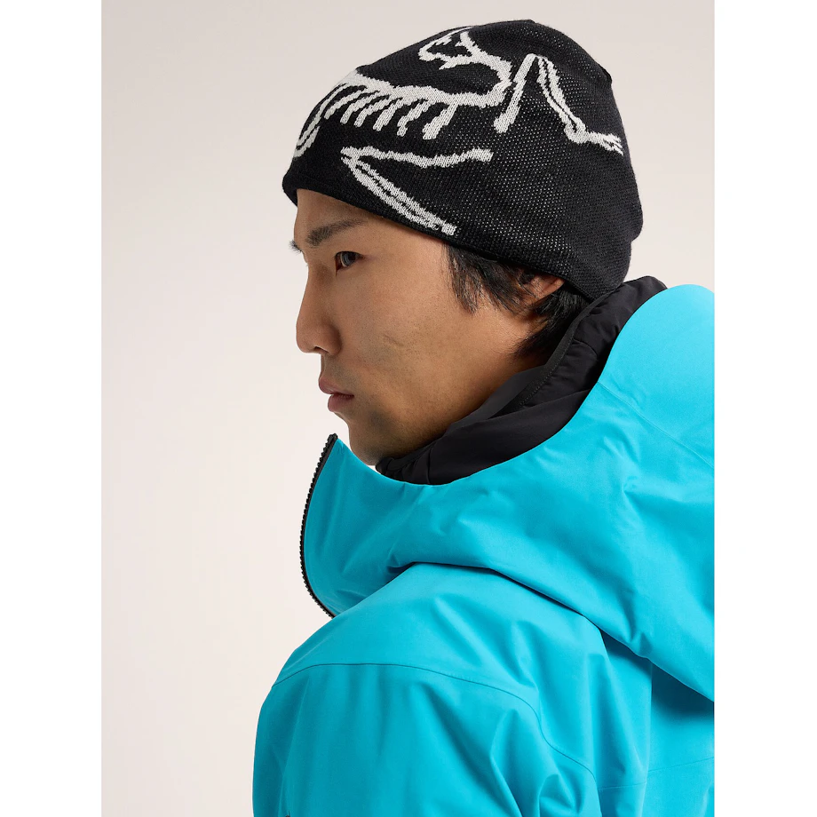 Brain Toque Bird Head Toque | Arc'teryx