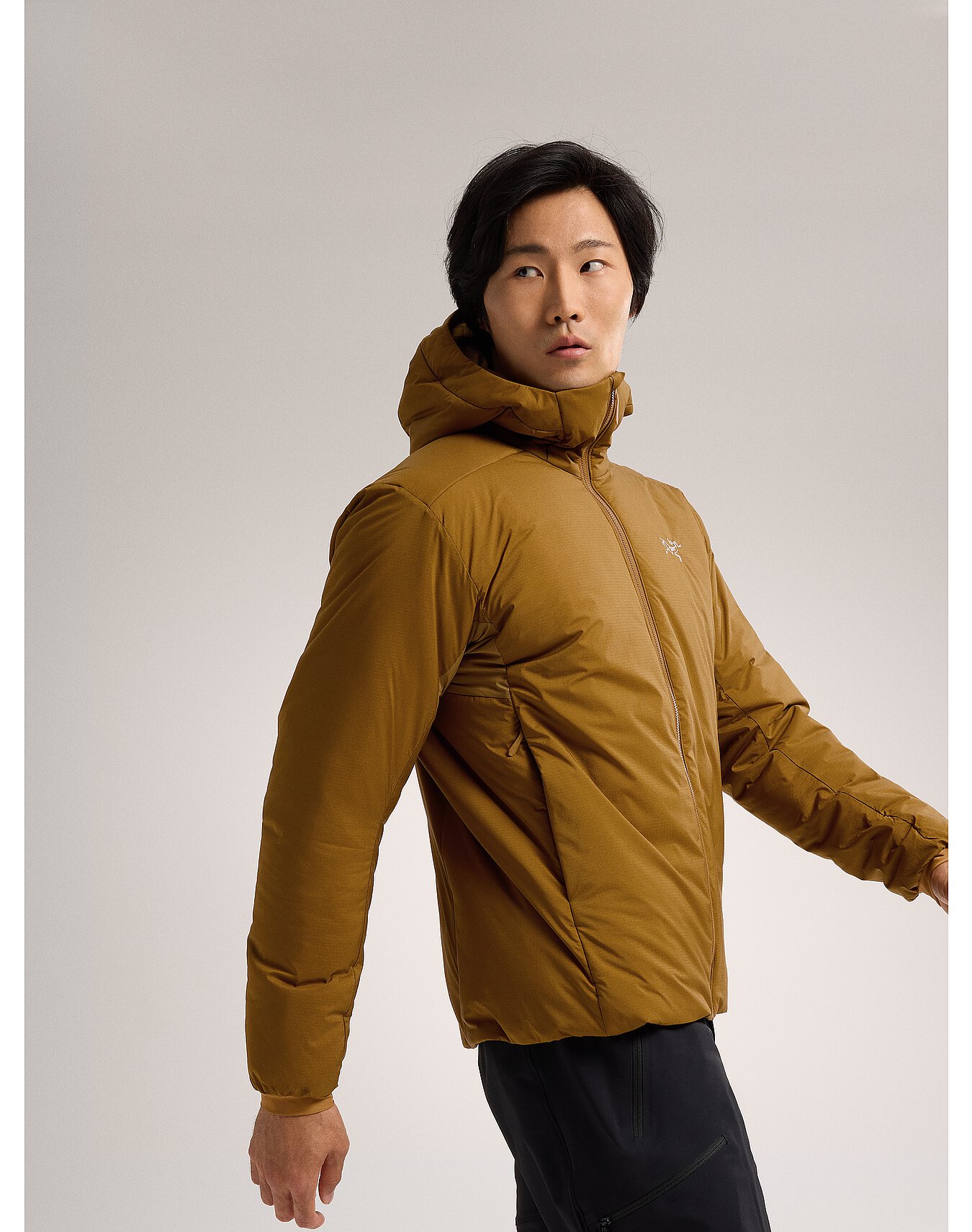 Atom Heavyweight Hoody Men's | Arc'teryx