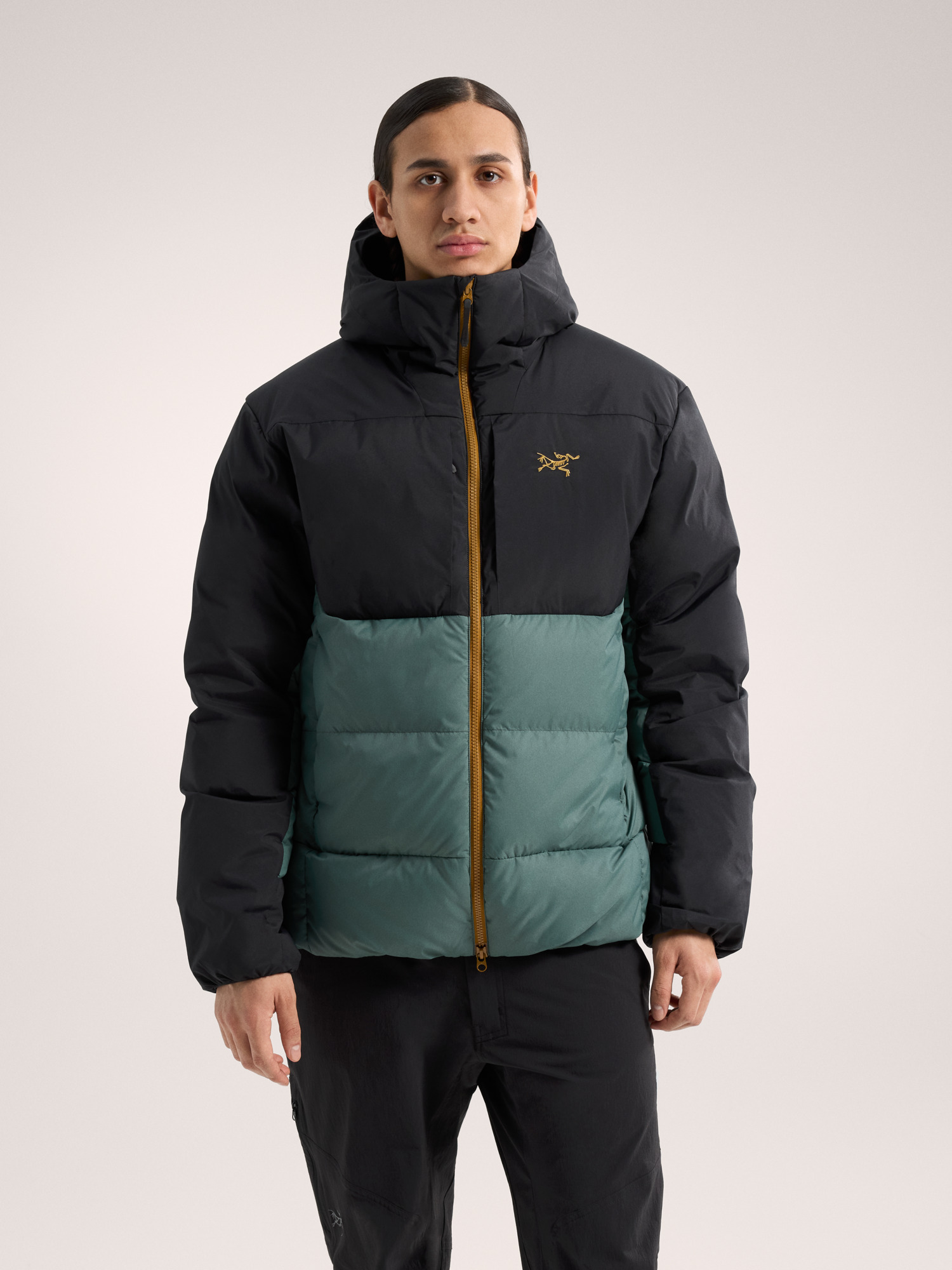 Arcteryx 2025 thorium sv