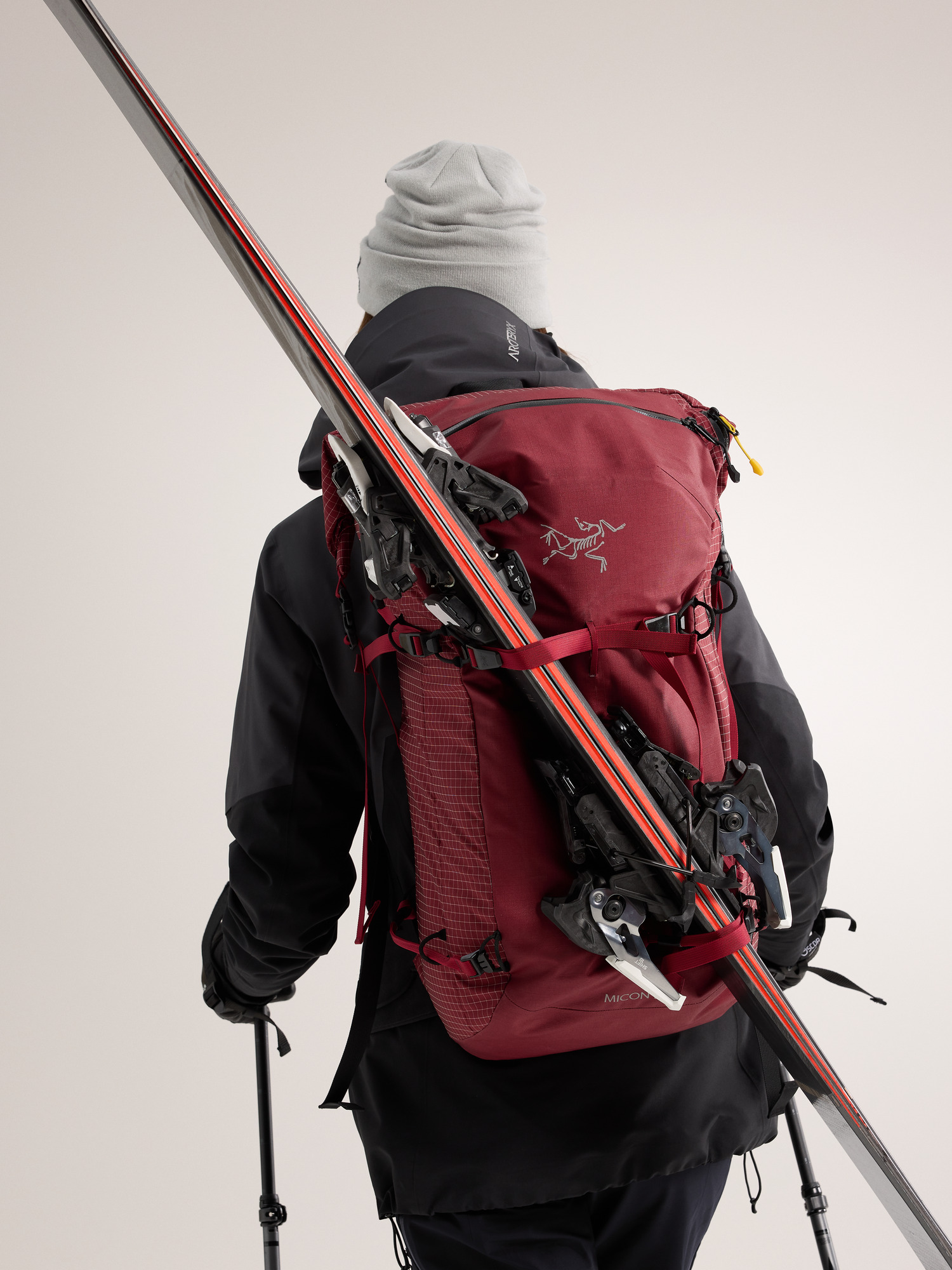 Diagonal ski carry sale