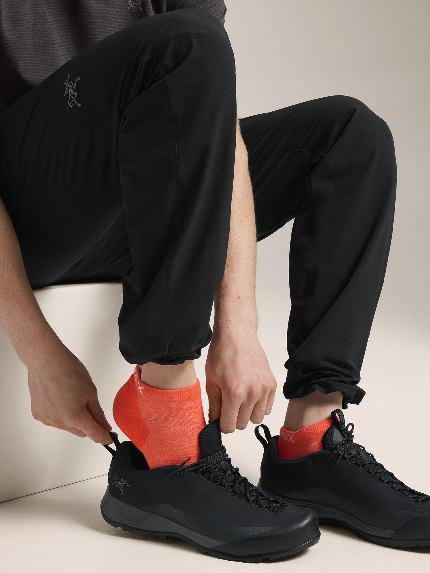 Merino Wool Low Cut Sock Dark Solaris Full Body View