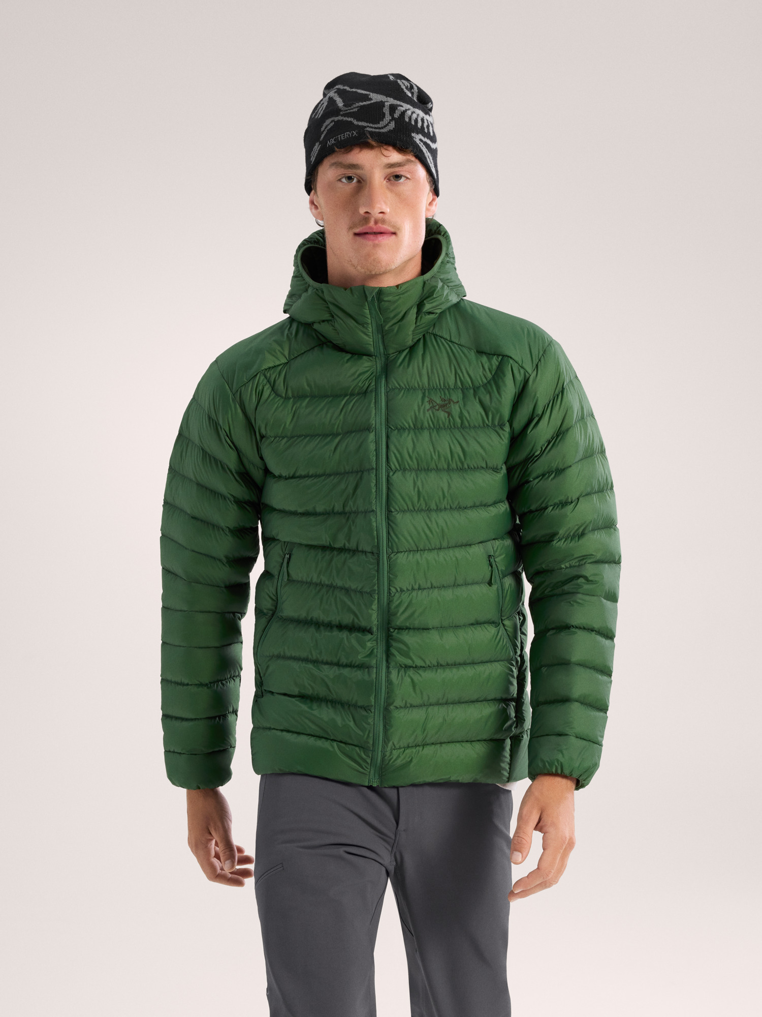 Arcteryx cerium lt hoody black online