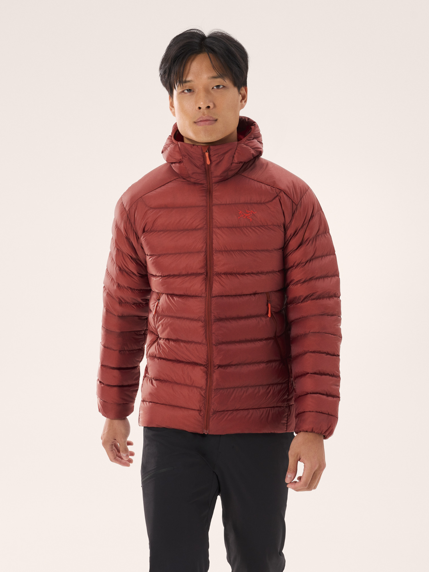 Arcteryx cerium sl hoody men's online