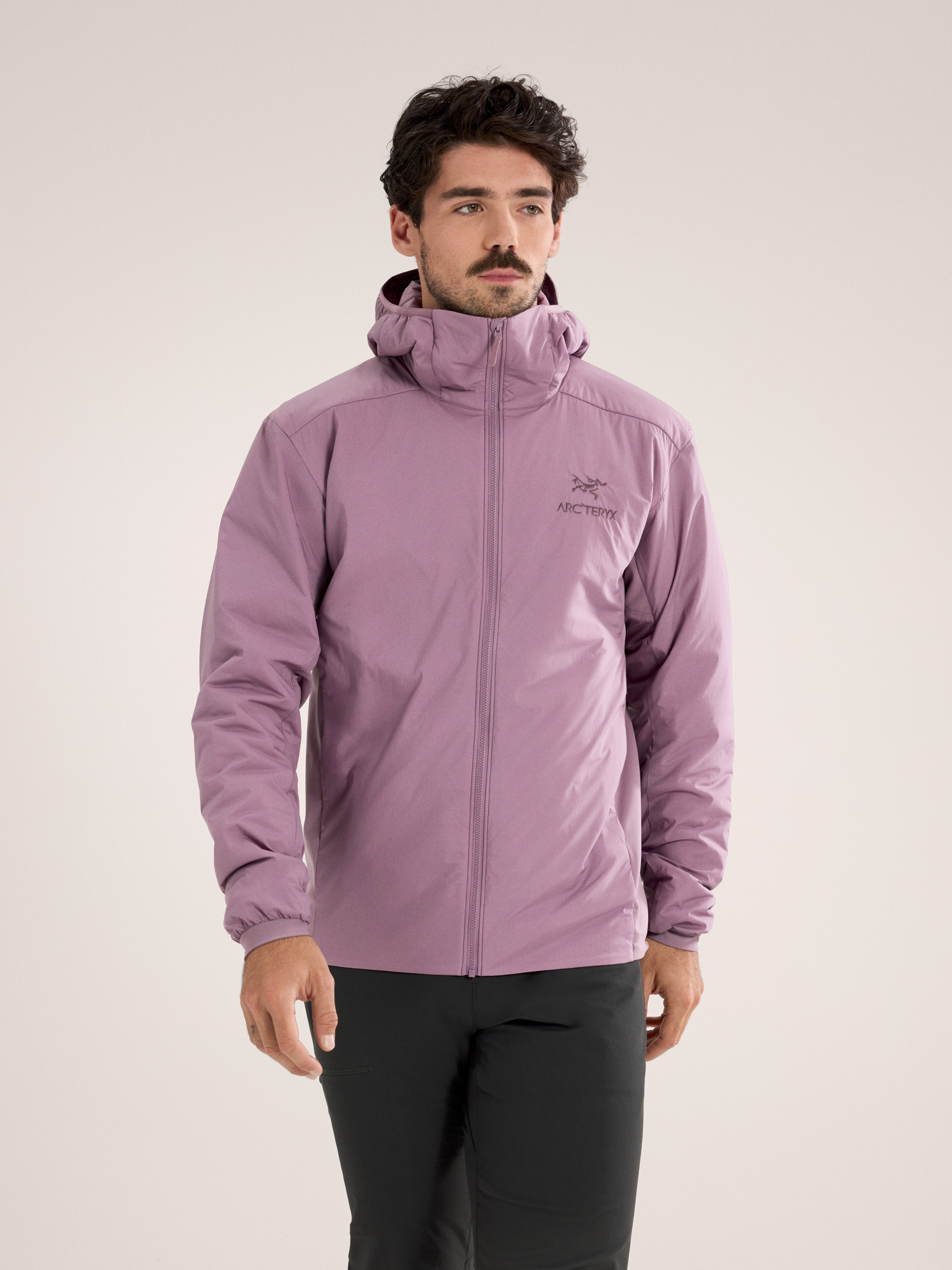 ARC'TERYX Atom LT Hoody Men's アークテリクス アトム LT フーディ インナージャケット GN  A(Lサイズ)｜売買されたオークション情報、yahooの商品情報をアーカイブ公開 - オークファン アウトドアウエア