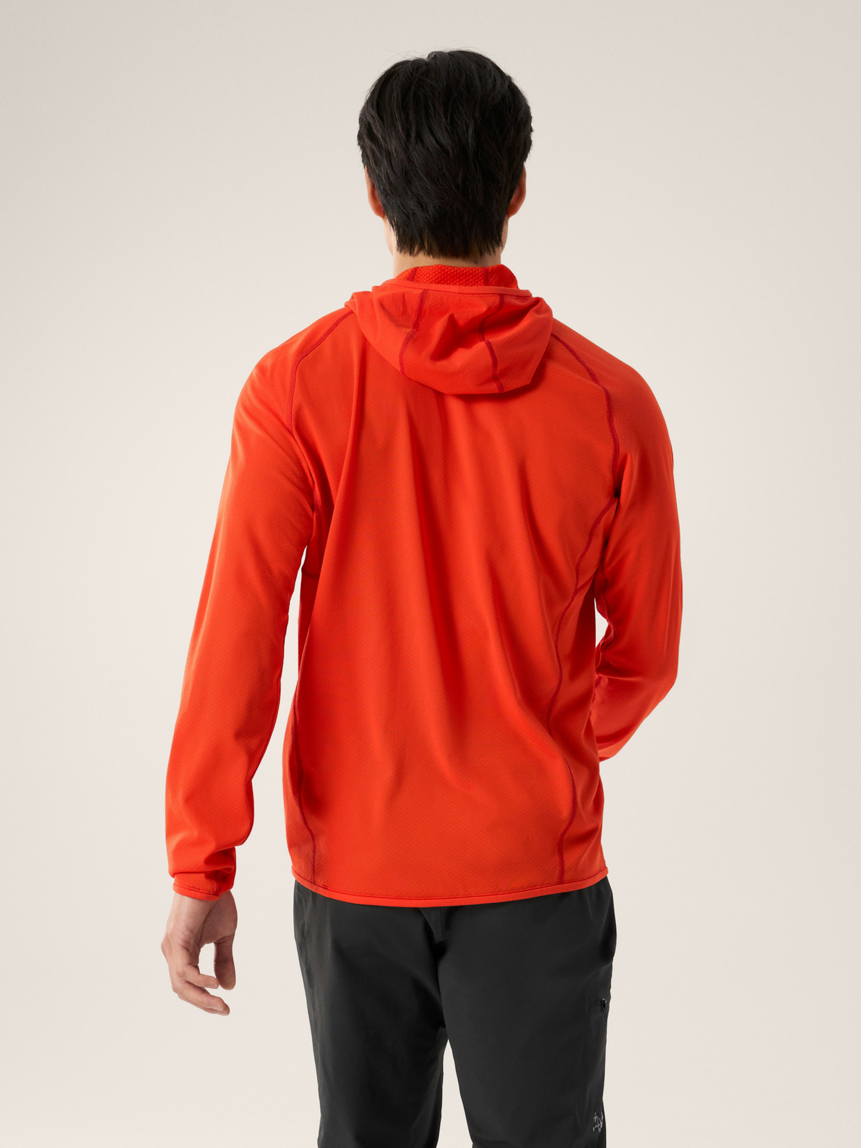 Delta Pullover Hoody Solaris Back View