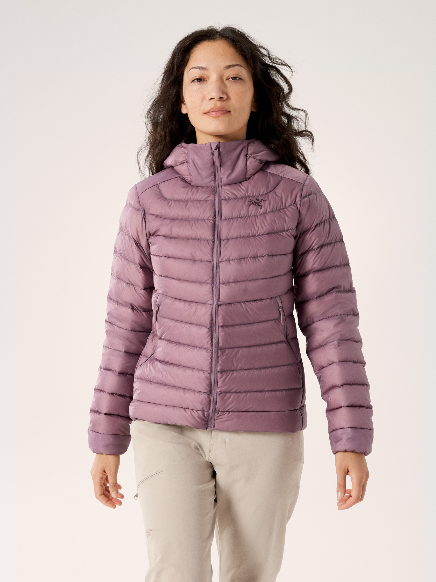 Arcteryx jacket womens outlet purple half zip with hood size small