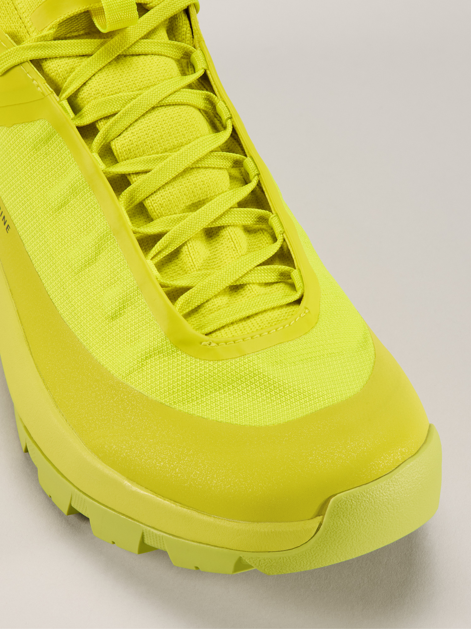 Vertex Alpine GTX Shoe Euphoria / Graphite Hover