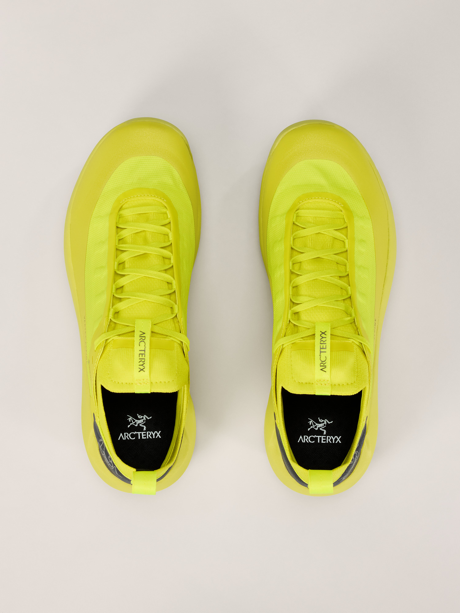 Vertex Alpine GTX Shoe Euphoria / Graphite Pair