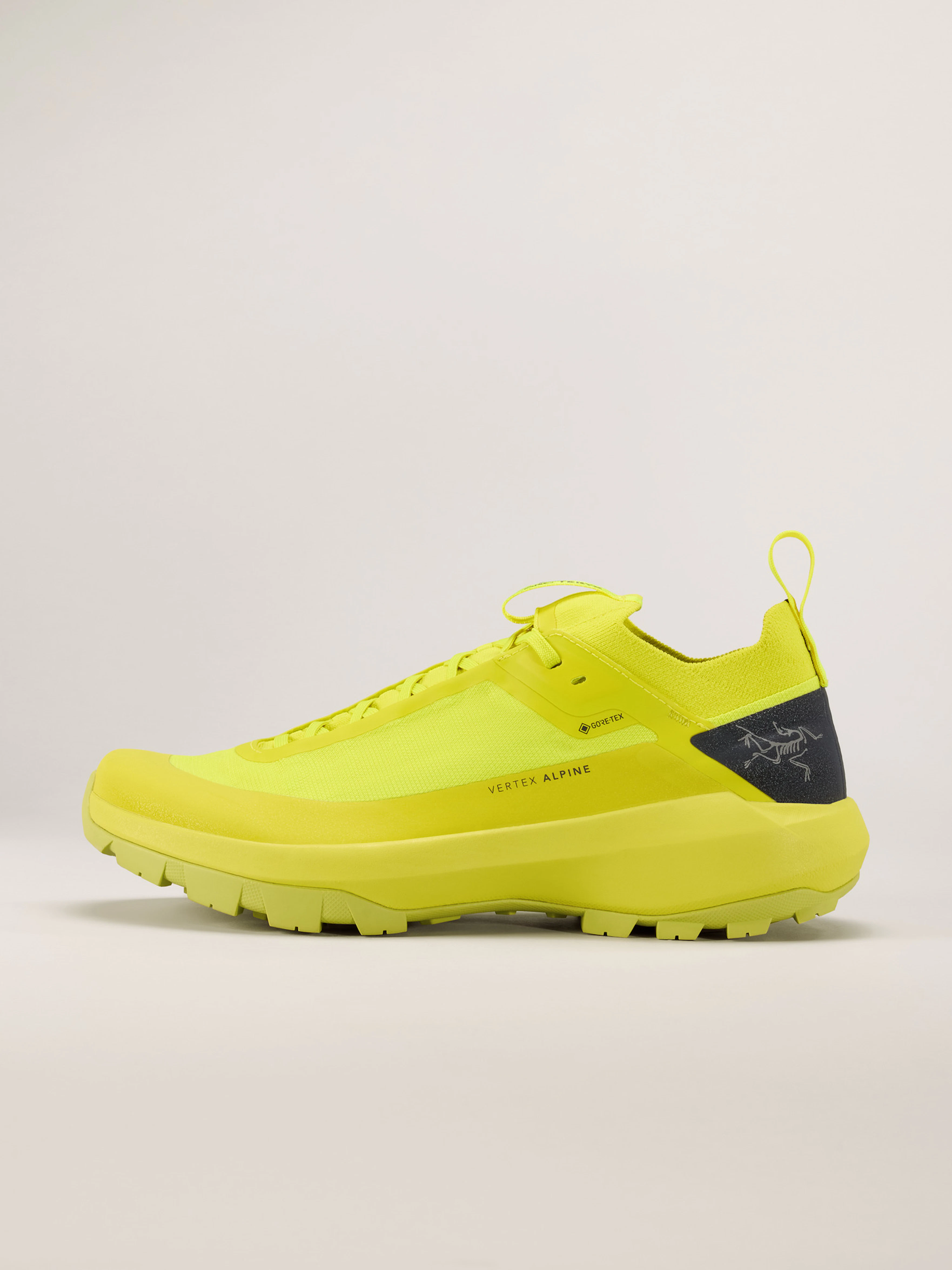 Vertex Alpine GTX Shoe Men's | Arc'teryx