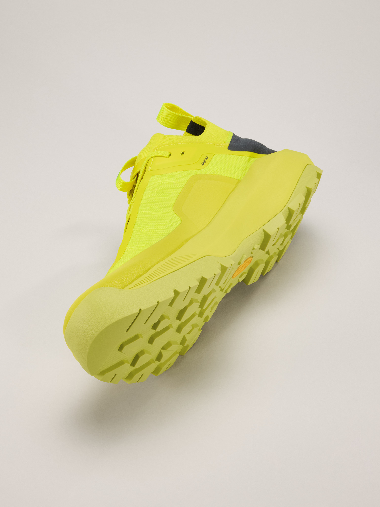 Vertex Alpine GTX Shoe Euphoria / Graphite Side