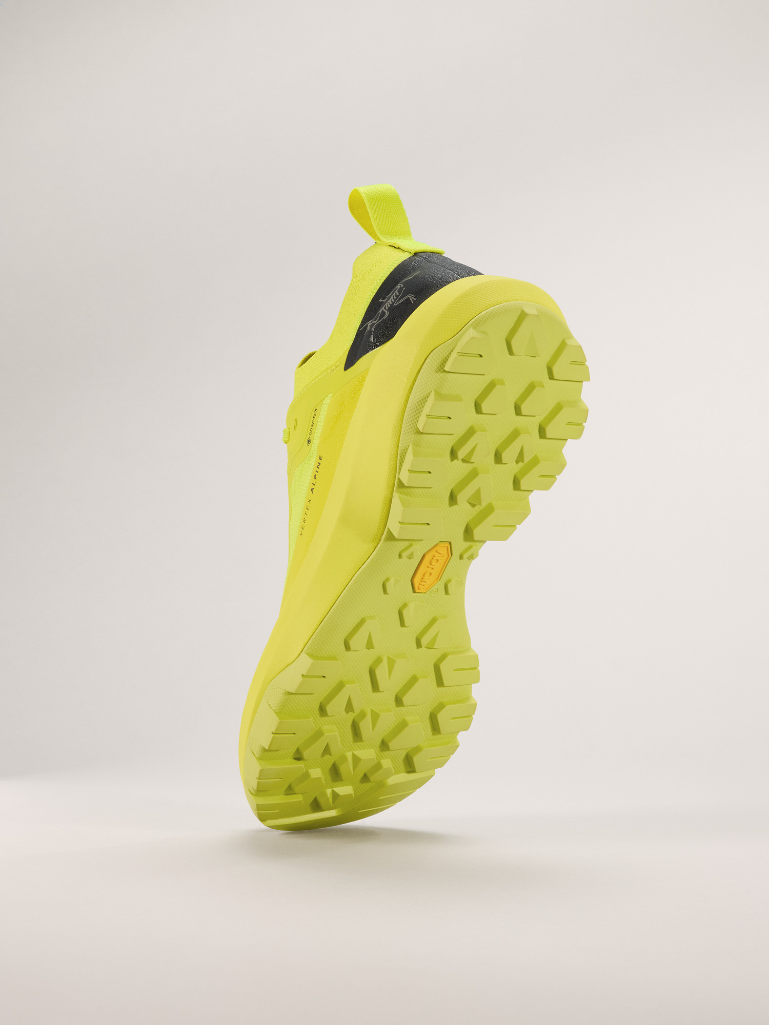 Vertex Alpine GTX Shoe Euphoria / Graphite Sole