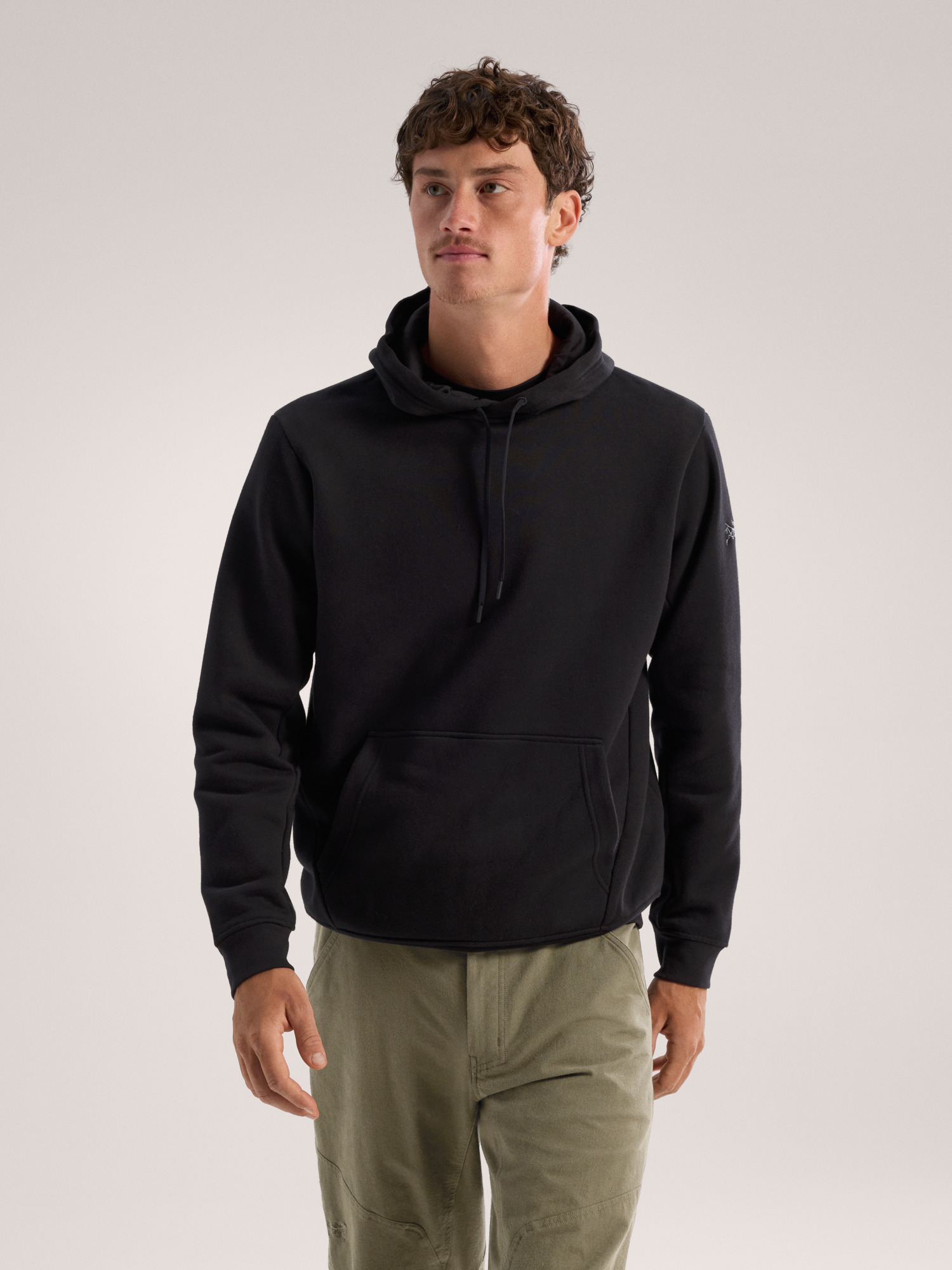 Emblem Fleece Hoody Herren Arc teryx