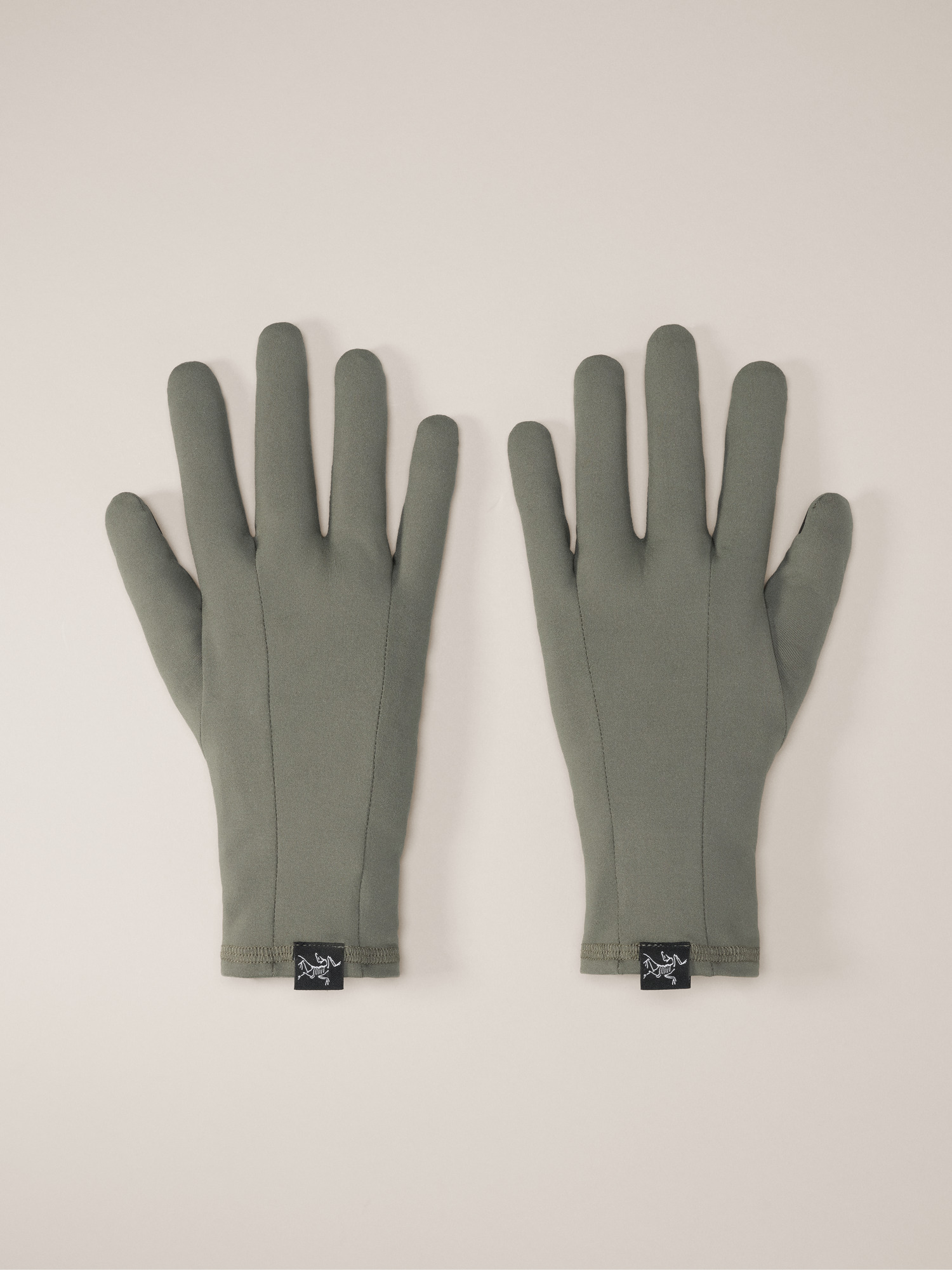 新品タグ付 Arc'teryx Fission SV Glove Arc'teryx Fission SV Glove