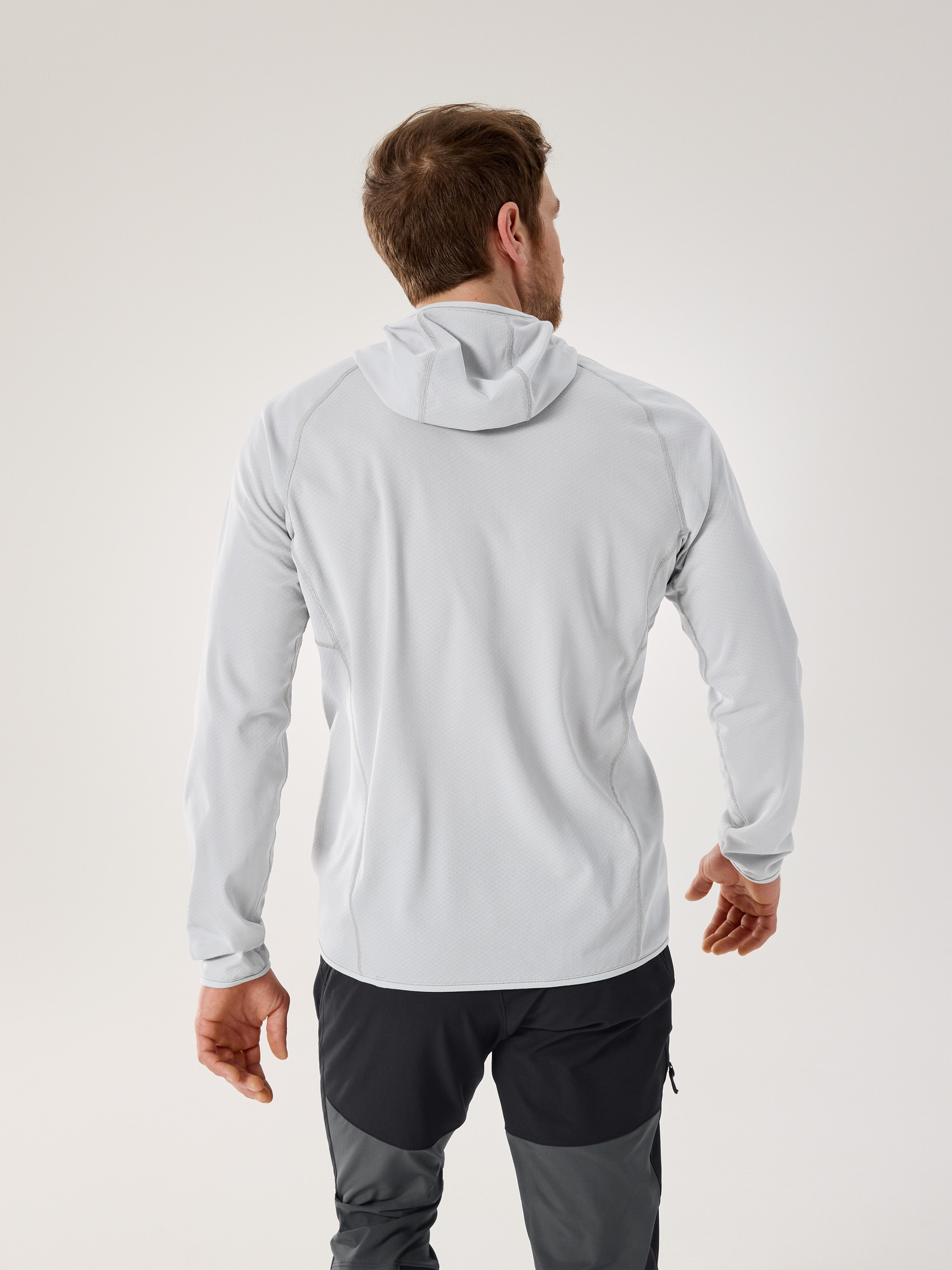 Delta Pullover Hoody Solitude/Void Back View