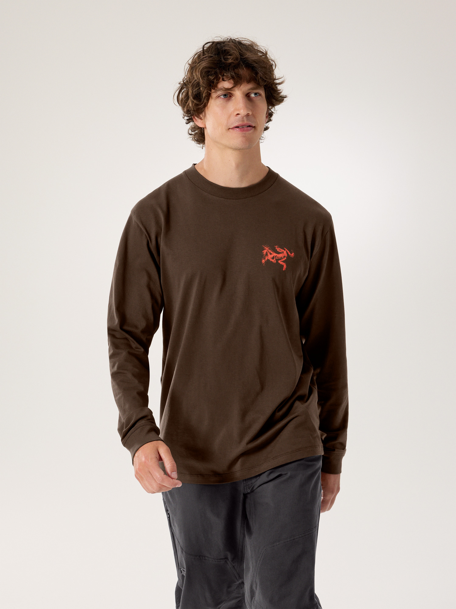 Kragg SL Cotton Blurred Bird Shirt SS Men's | Arc'teryx