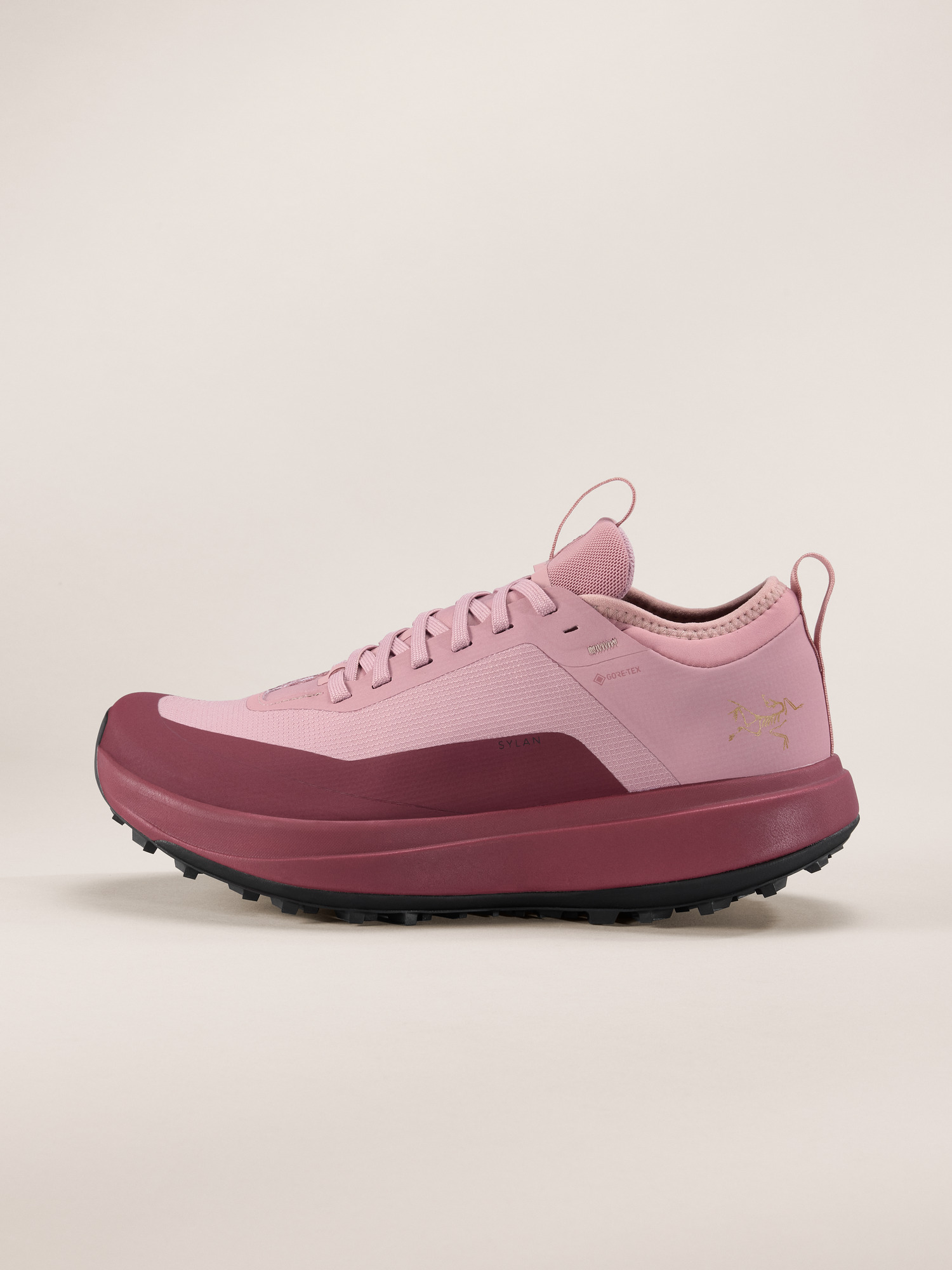 Sylan GTX Shoe Women's Dk Bliss/Mars Profile