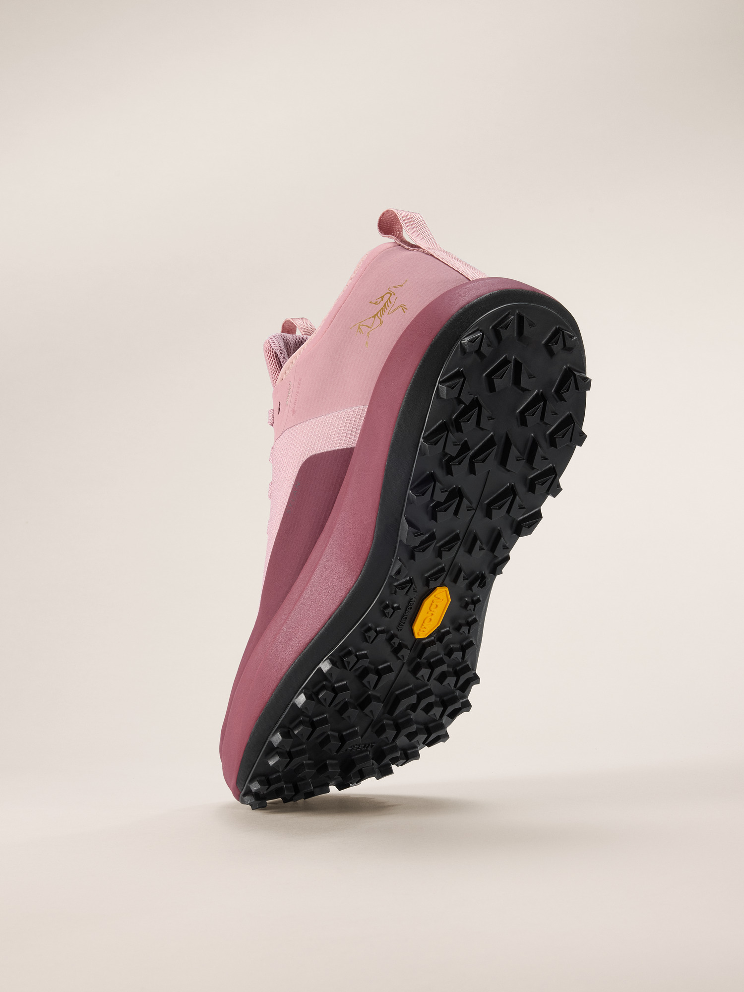 Sylan GTX Shoe Women's Dk Bliss/Mars Sole