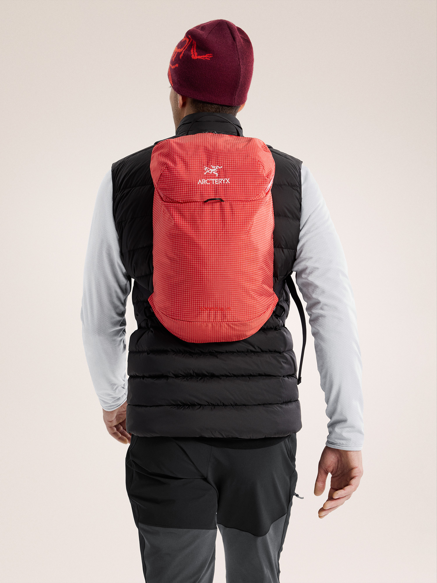 ダンデライオン ARC'TERYX Konseal 15 ダンデライオン様専用 ARC'TERYX Konseal 15 - メルカリ